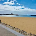 Alegría *