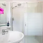 Alegría