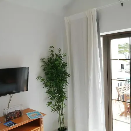 Alegria 칼레타데푸스테